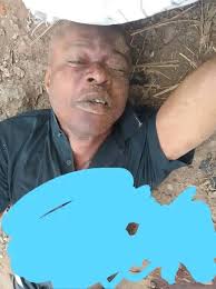 Tranding News